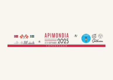 APIMONDIA 2025