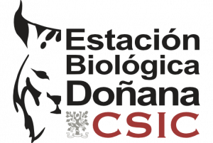 The Spanish National Research Council logo