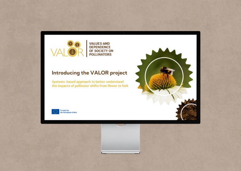 Introductory presentation