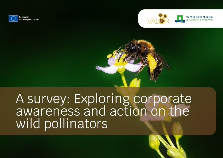 Exploring corporate awareness and action on the wild pollinators: A survey of European value chain actors