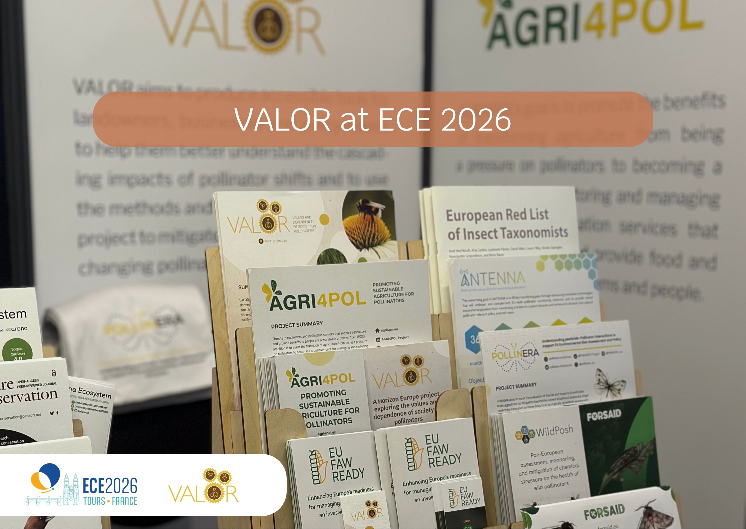 VALOR at the XIII European Congress of Entomology