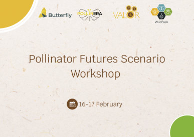 VALOR | Pollinator Futures Scenario Workshop